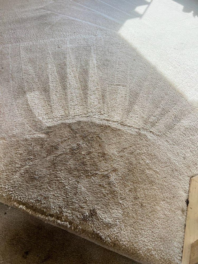 Photo of Green Solution organic carpet cleaning