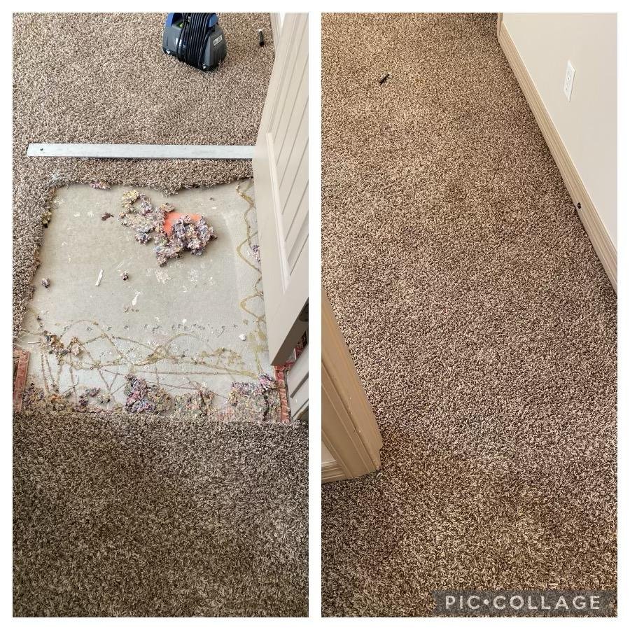 Photo of Green Solution organic carpet cleaning