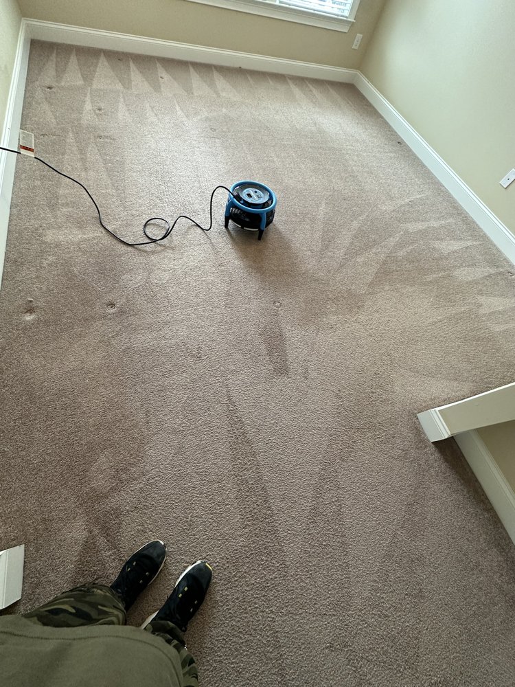 Photo of JDog Carpet Cleaning & Floor Care