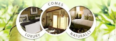 Photo of A Fresh Start Cleaning Service