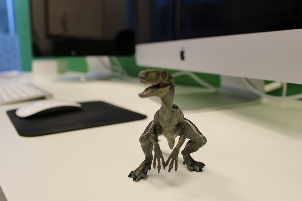 Photo of Raptor Digital Marketing