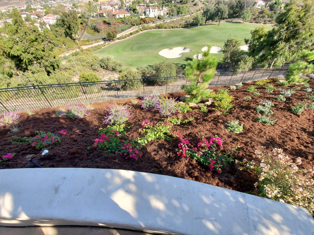 Photo of Urban Landcare - La Jolla Commercial & Residential Landscape