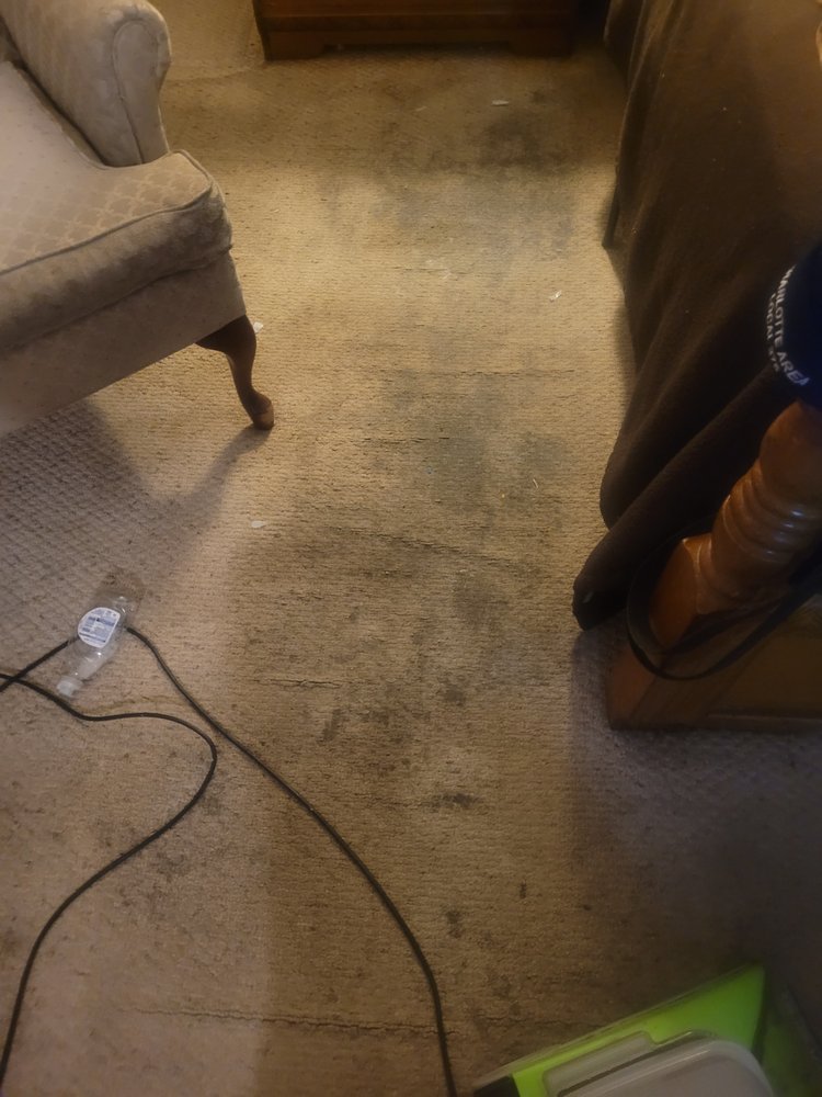 Photo of Oxi Fresh Carpet Cleaning