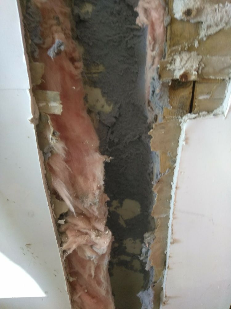 Photo of Sweeps Cleaning Solutions