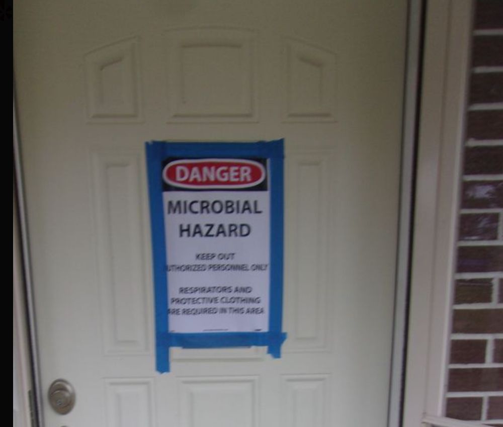 Photo of Shield Mold Remediation