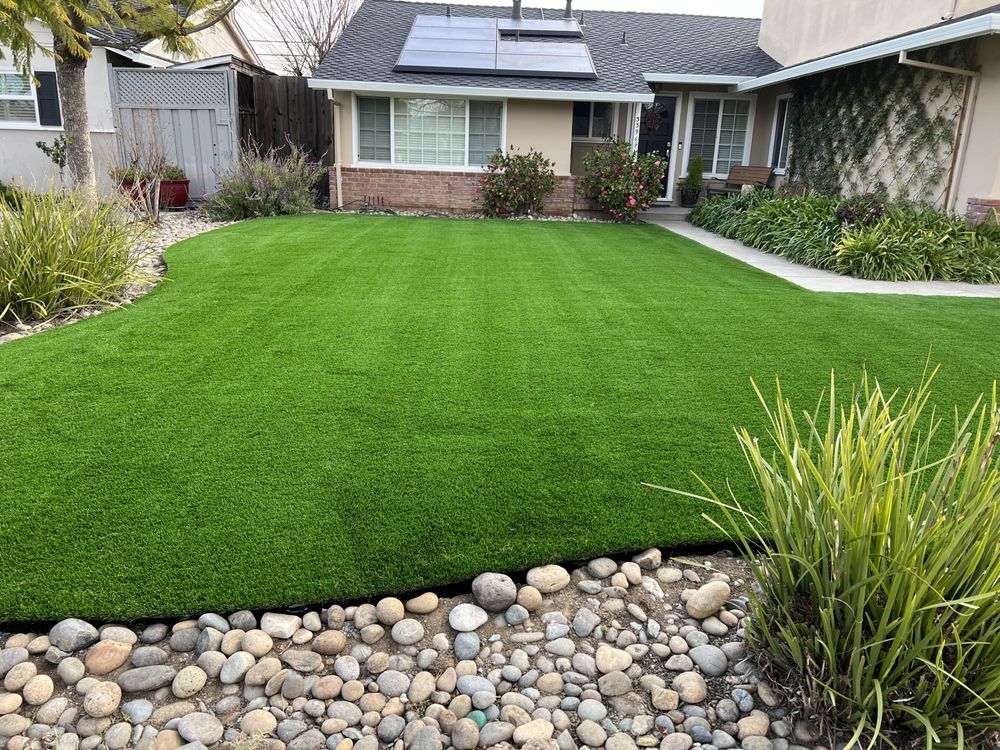 Photo of Reborn Lawns