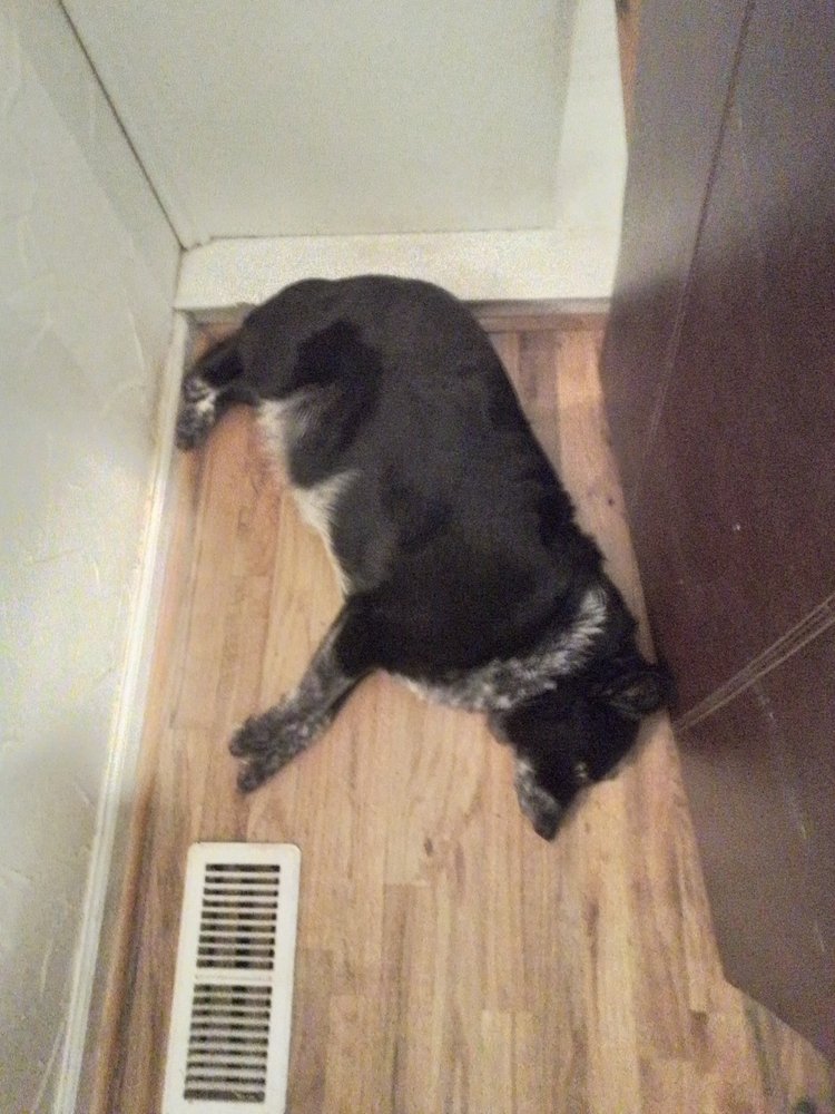 Photo of Broom Heating & Air Conditioning