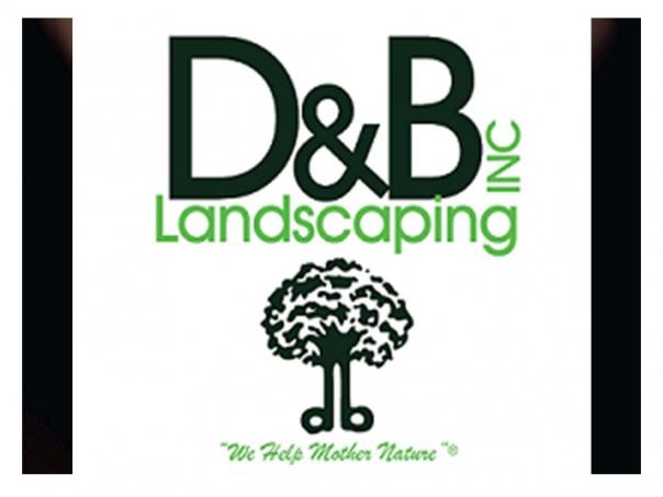 Photo of D&B Landscaping