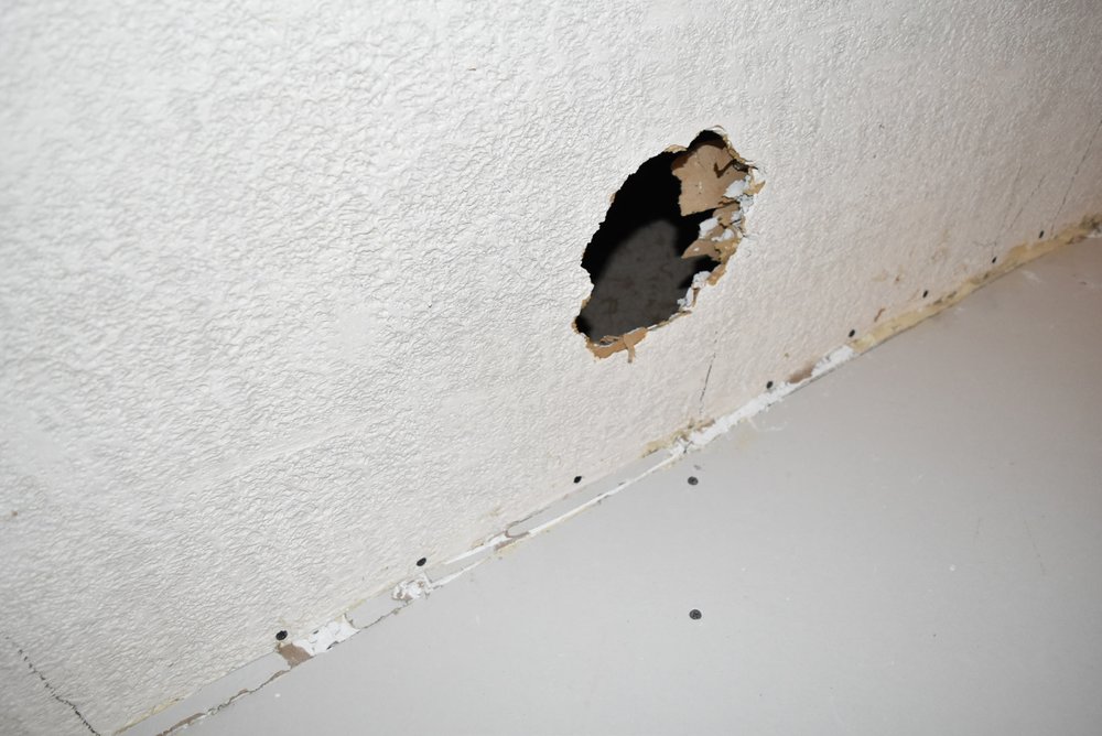 Photo of Collegeville Drywall Repair and Finishing