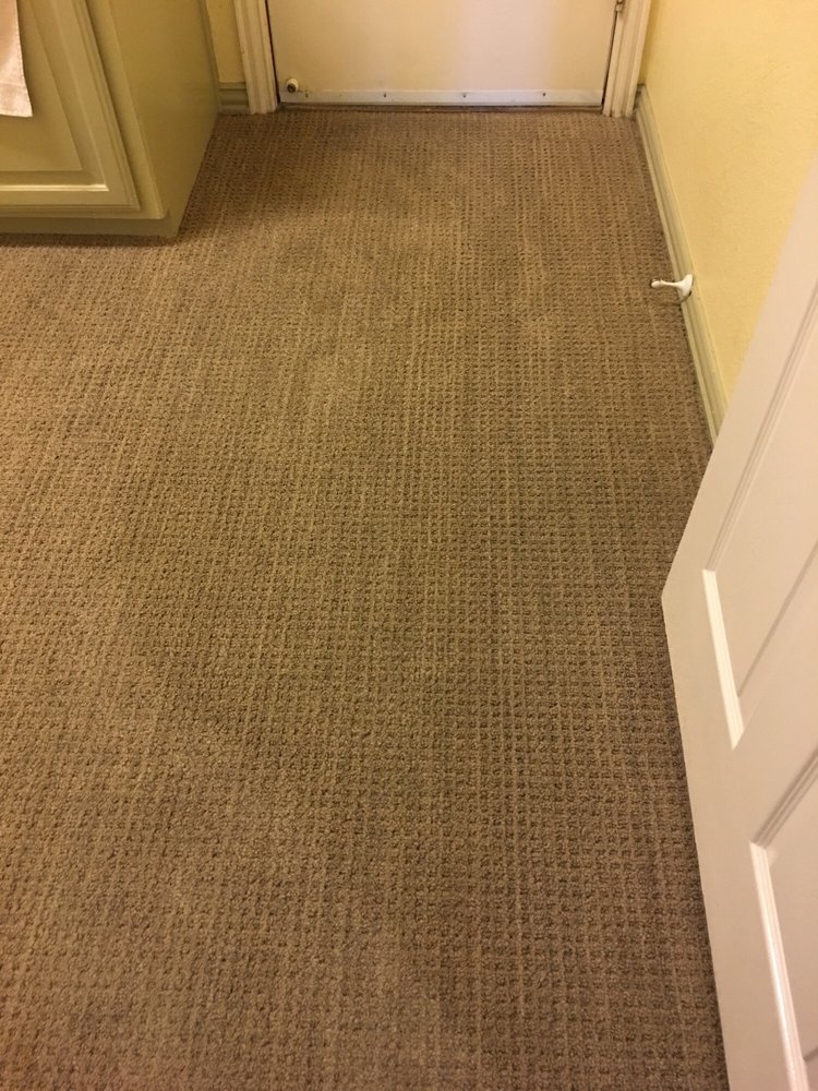 Photo of EcoSafe Dry Carpet Care