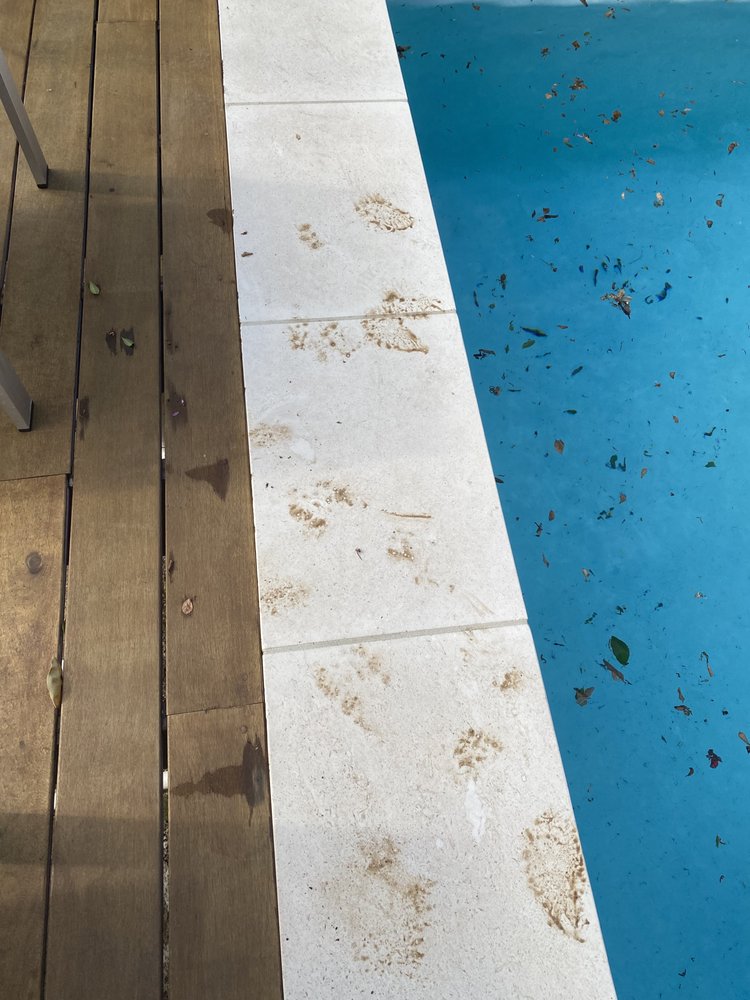 Photo of Aqua Clear Pool & Spa