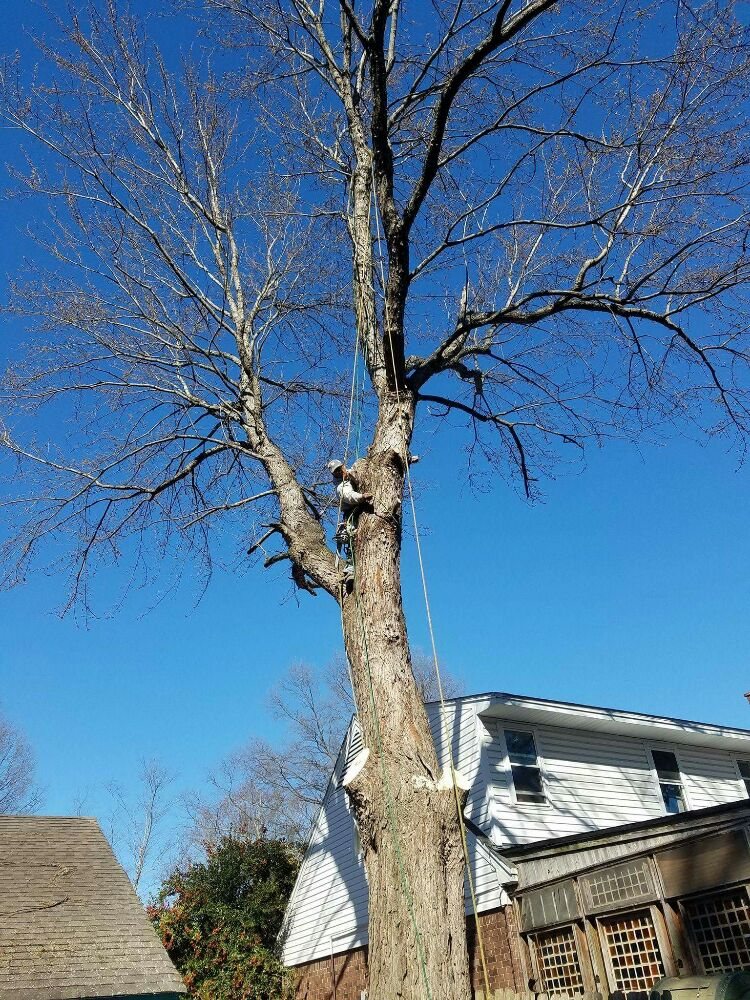 Photo of Brothers Landscaping