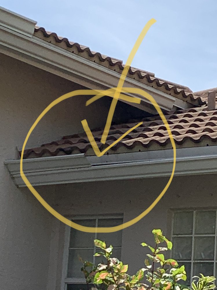 Photo of Elite Gutters