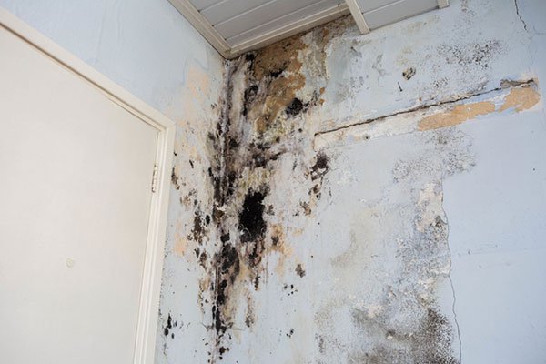 Photo of Vision Restoration Contractors