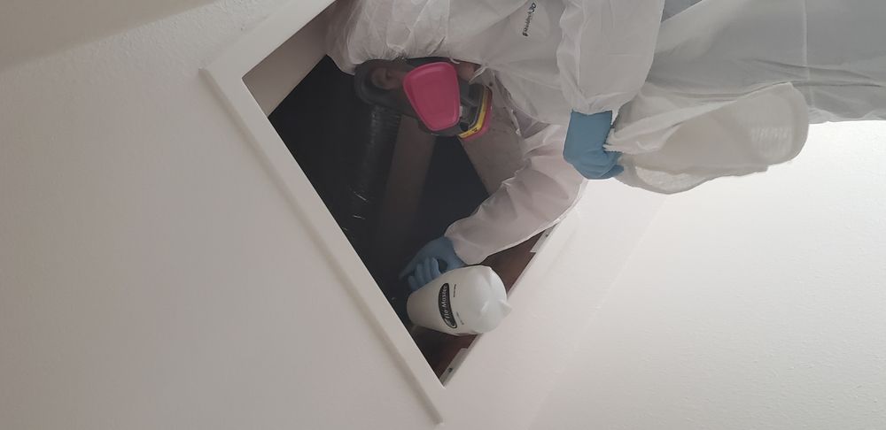 Photo of Discount Mold Removal of Henderson