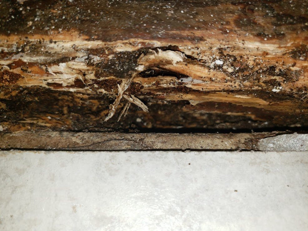 Photo of Discount Mold Removal of Henderson