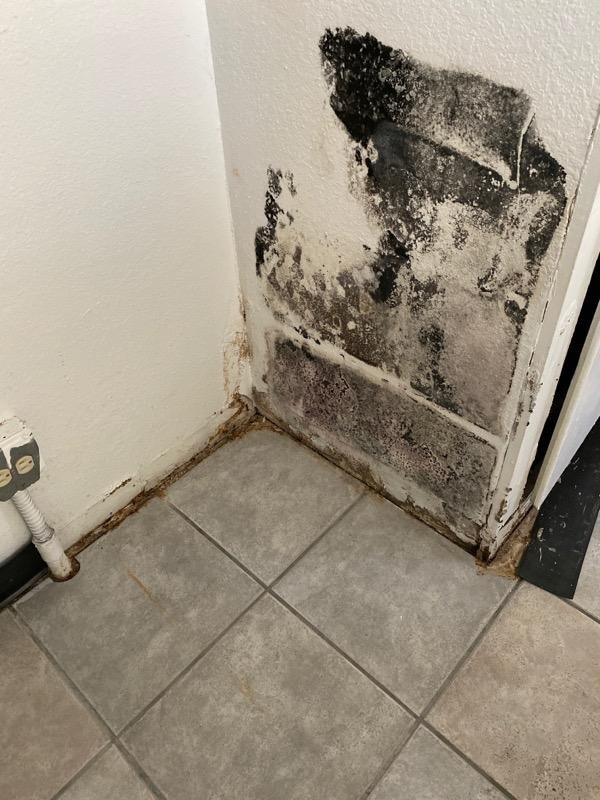 Photo of Discount Mold Removal of Henderson