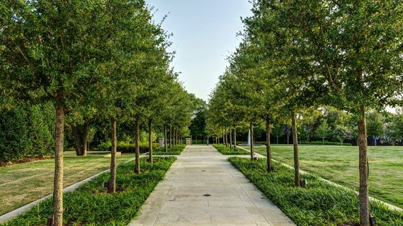 Photo of D&D Landscaping