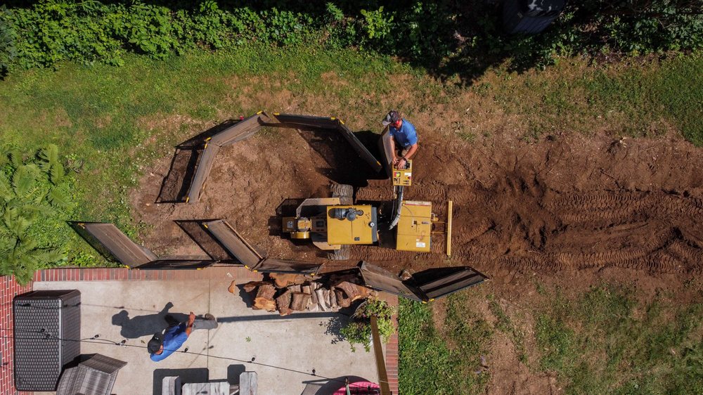 Photo of Professional Stump Removal of Baltimore