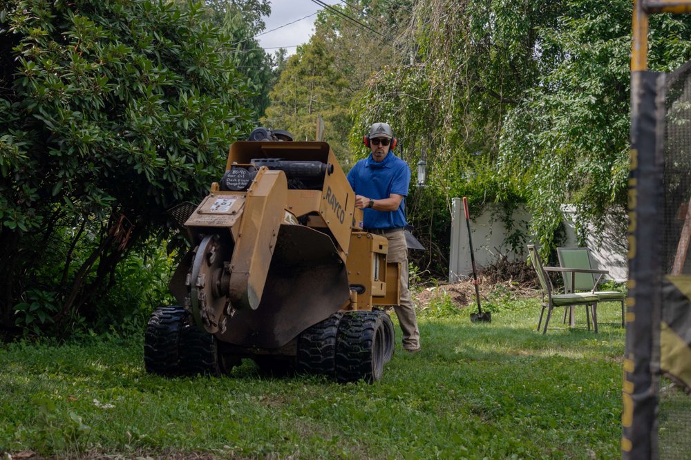 Photo of Professional Stump Removal of Baltimore