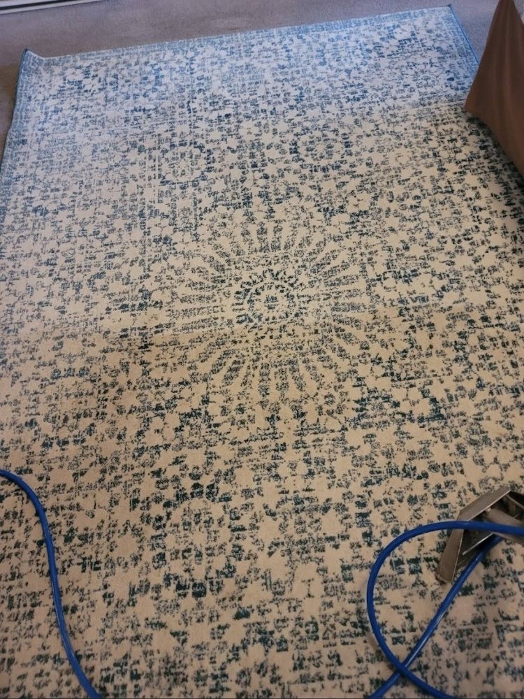 Photo of Simply Green Tile & Carpet Cleaning