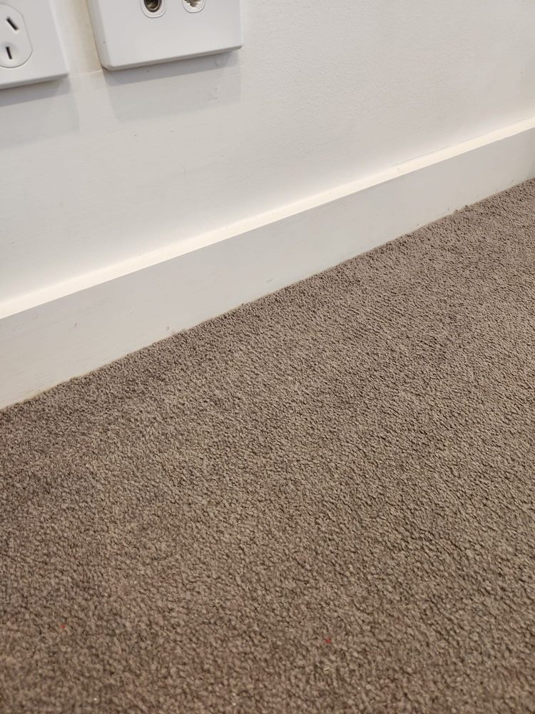 Photo of Carpet Care and Repair