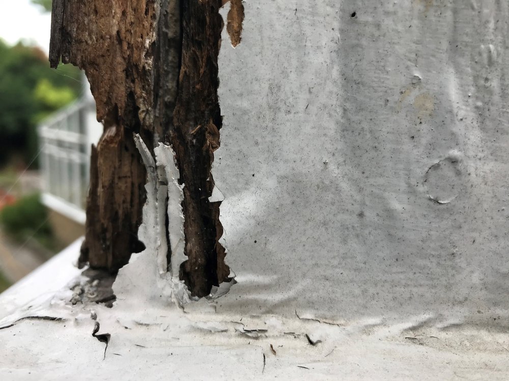 Photo of Timberwise - London