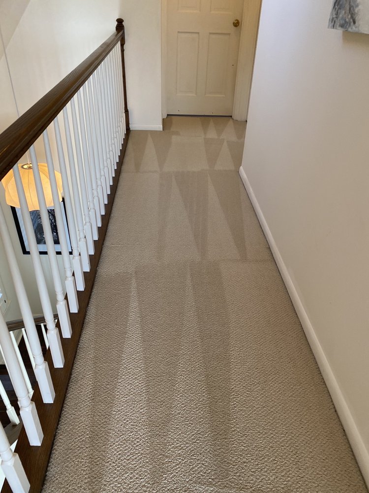 Photo of Daisy Carpet and Upholstery Cleaning