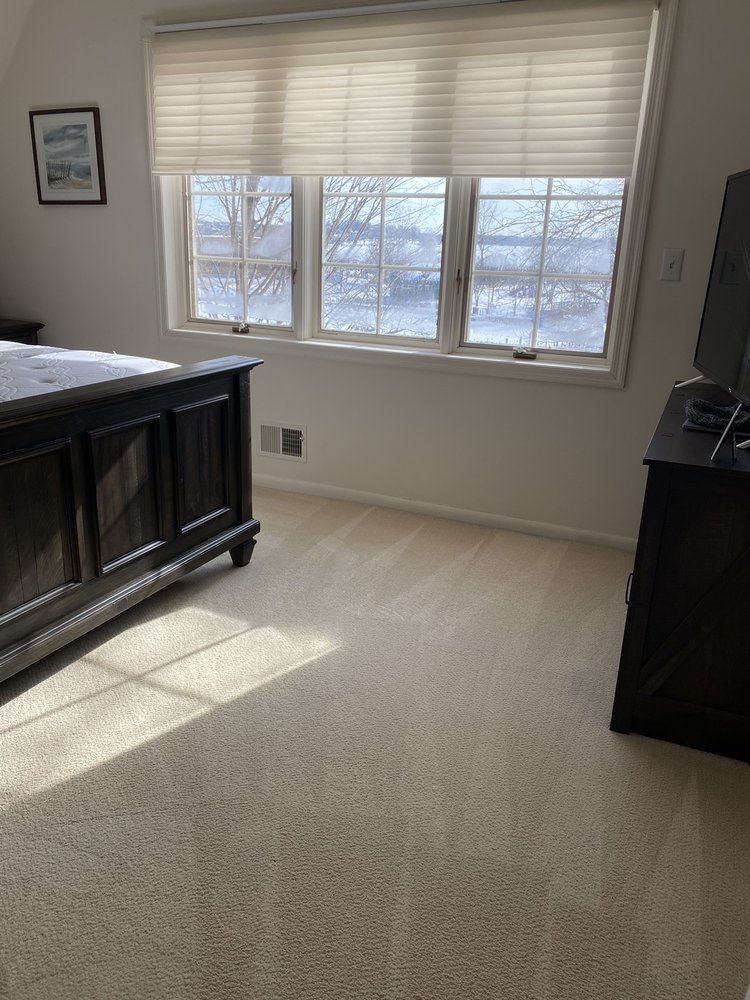 Photo of Daisy Carpet and Upholstery Cleaning