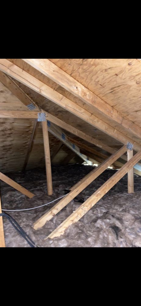 Photo of Attic Crawl