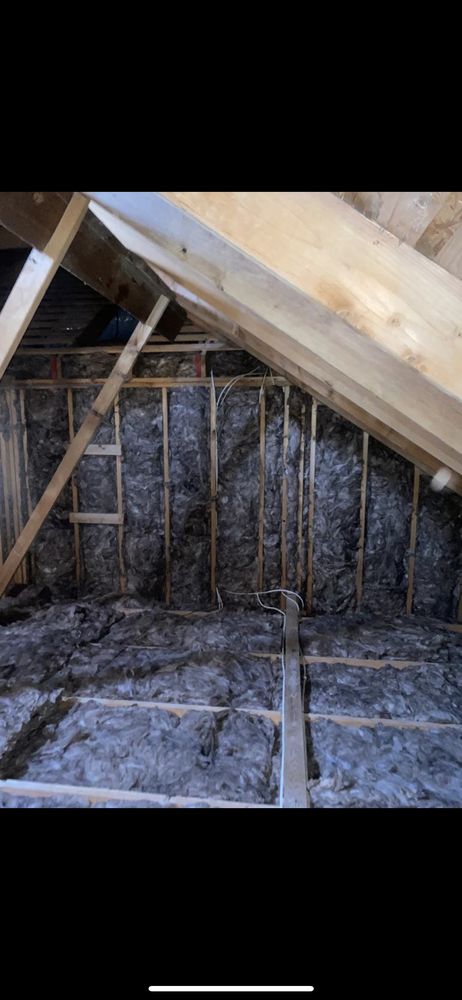 Photo of Attic Crawl