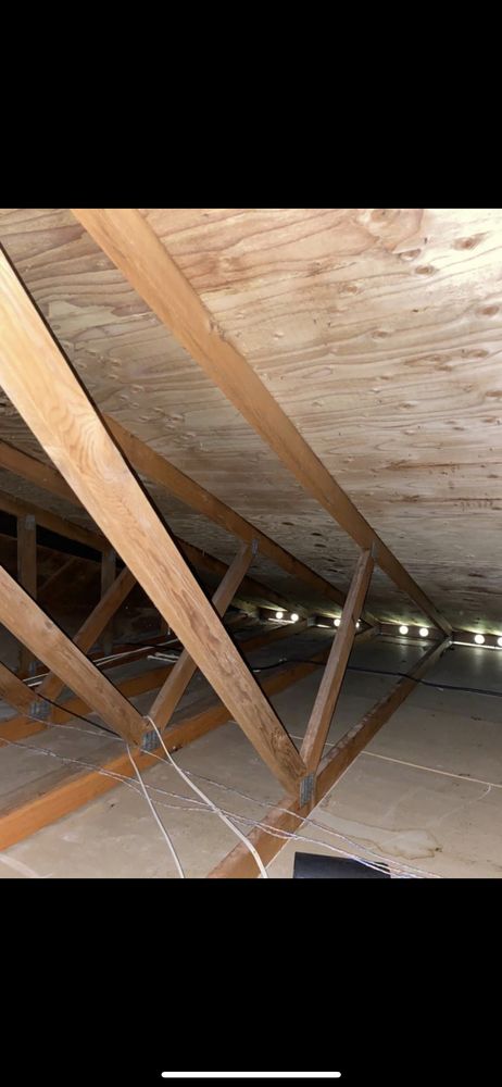 Photo of Attic Crawl