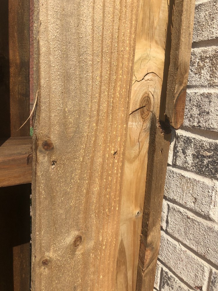 Photo of Just Decks