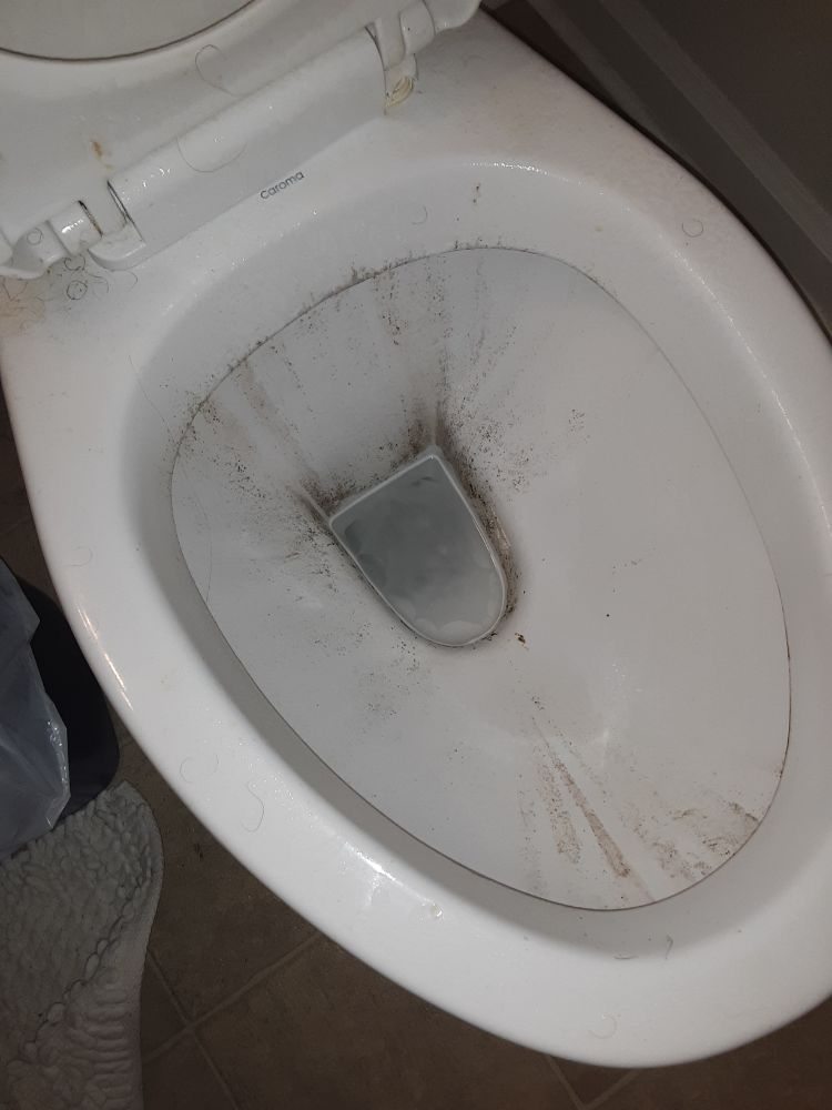 Photo of Royalty Cleaning