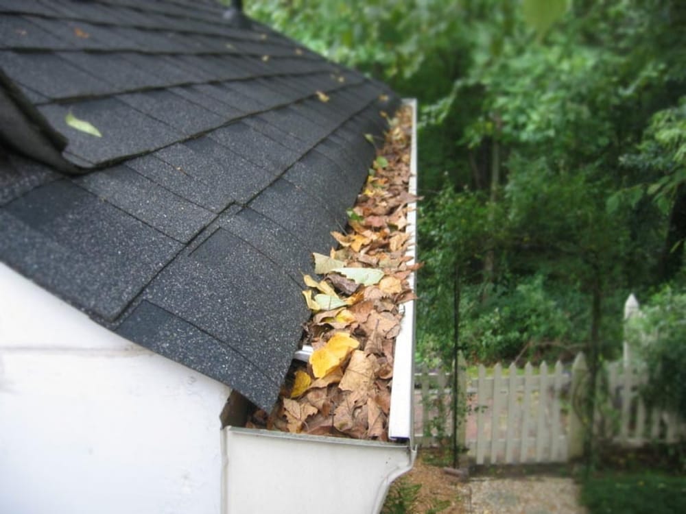 Photo of Curb Appeal