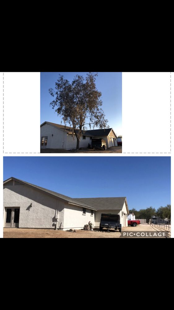 Photo of AZ Desert Tree Care