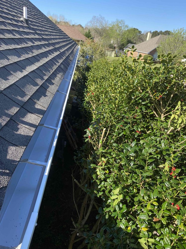 Photo of The Brothers that just do Gutters