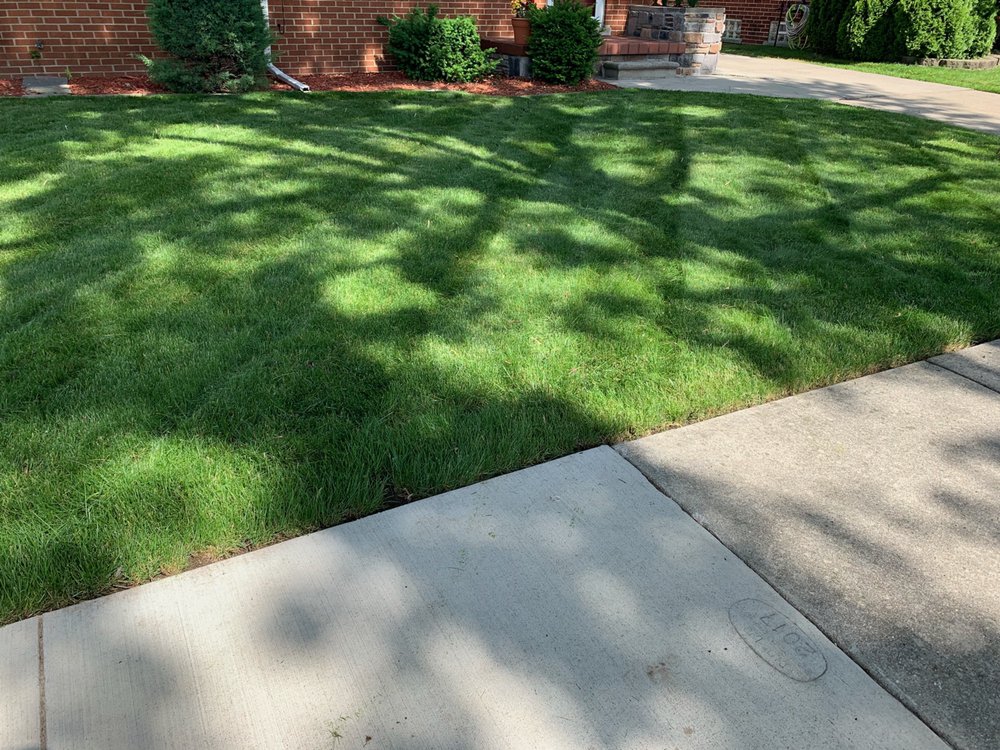 Photo of Always There Lawn Care