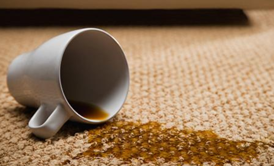 Photo of Philadelphia Carpet Cleaning Pros