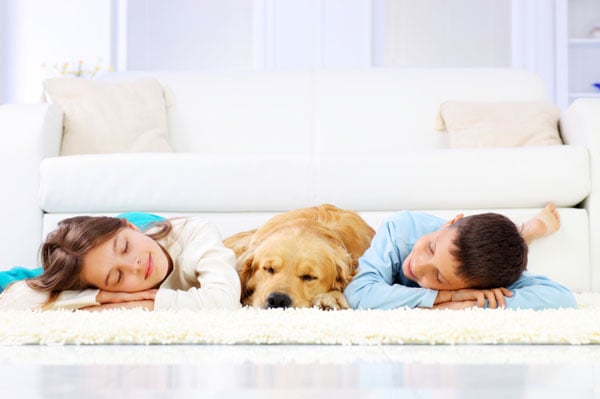 Photo of Philadelphia Carpet Cleaning Pros
