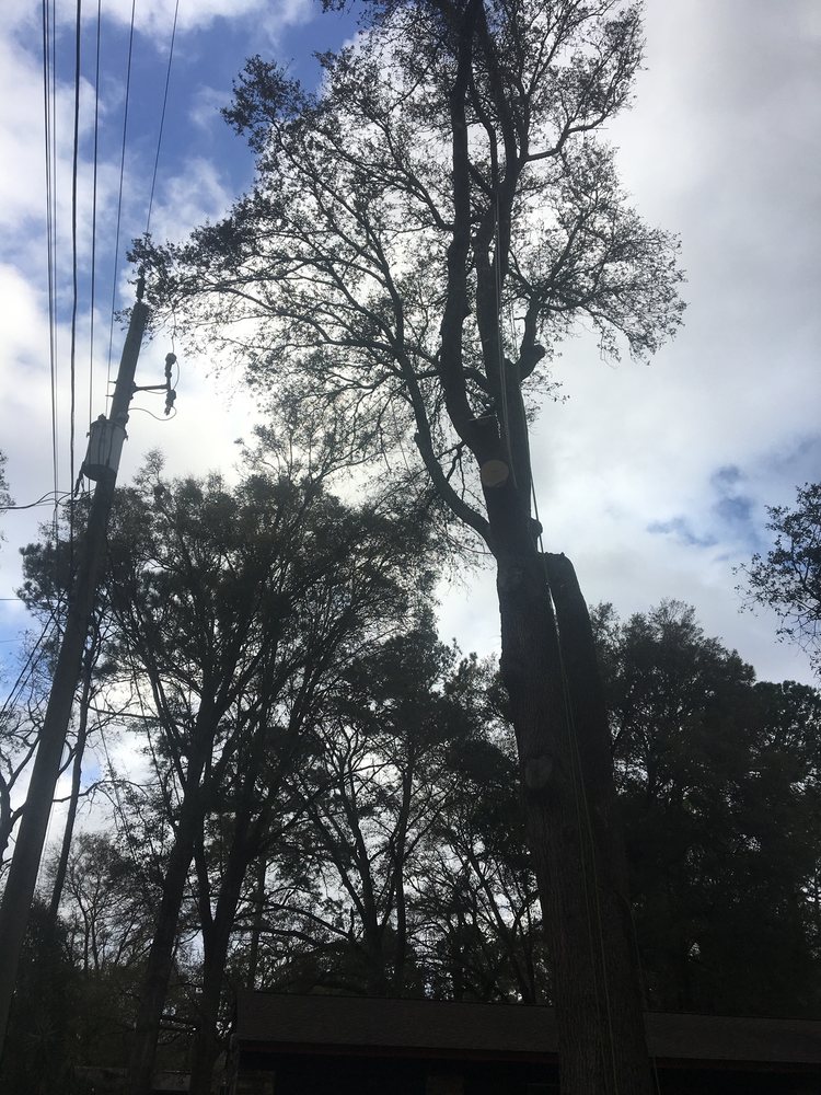 Photo of Pro Master Lawn & Tree