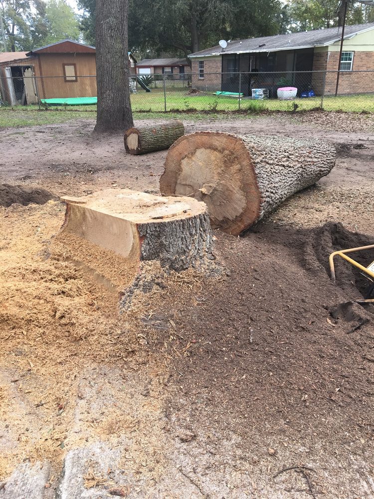 Photo of Pro Master Lawn & Tree