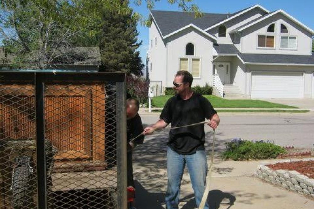 Photo of Utah Hot Tub Movers
