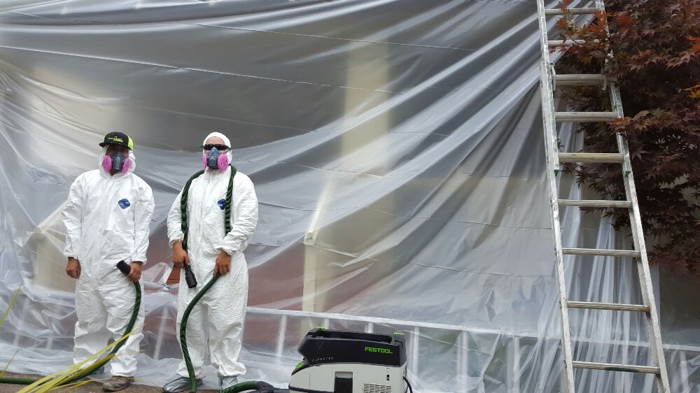 Photo of GreenLeaf Painting