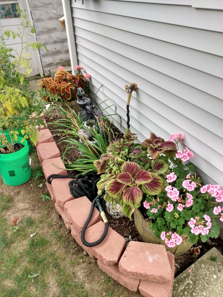 Photo of Tom's Turf and Outdoor Services