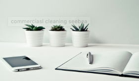 Photo of Seabee Cleaning
