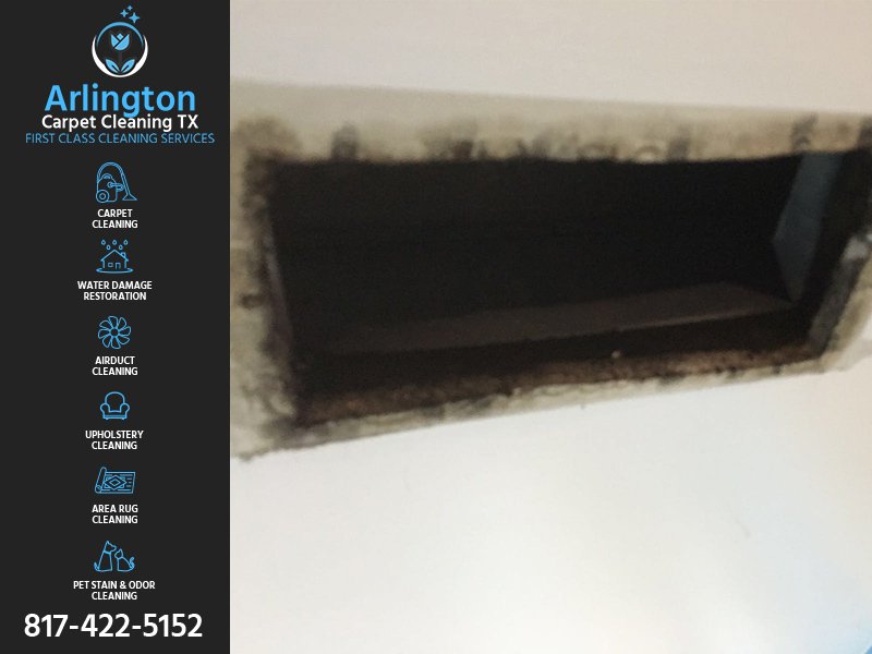 Photo of Hippo Carpet Cleaning Arlington