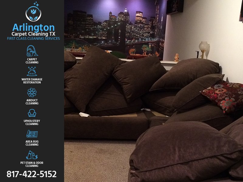 Photo of Hippo Carpet Cleaning Arlington