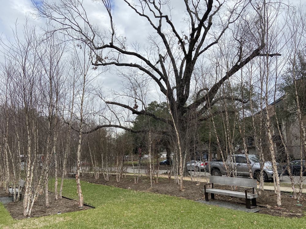 Photo of Rothko Chapel
