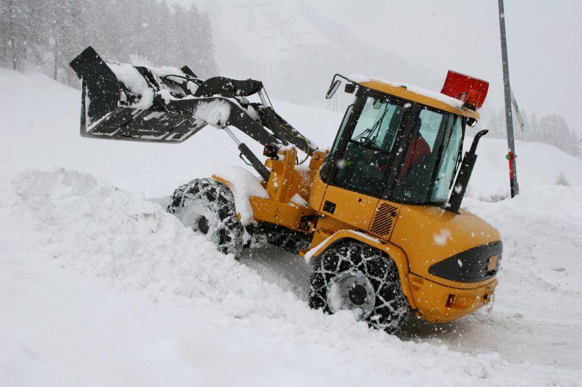 Photo of Liban's Landscaping